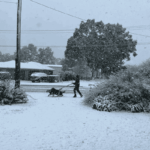 شهدت أرميدال، نيو ساوث ويلز، أستراليا، اليوم تساقطًا نادرًا للثلوج بكثافة، بعد عدة سنوات.